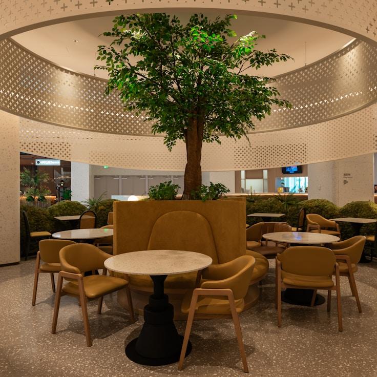 School choices for expat families in Lisboa, Portugal