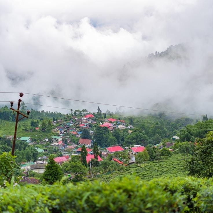 Outdoor terrace seating suitable for families in Lisboa